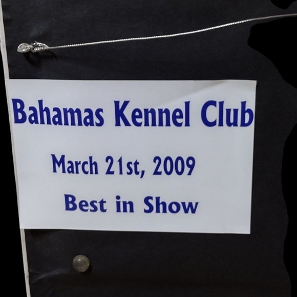 Underwater Reef Painting by Don Russell Bahamas Scenery Painter - Picture 6 of 7